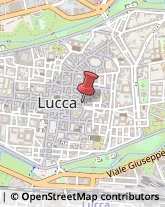 Locali, Birrerie e Pub,55100Lucca