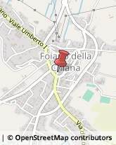 Pelletterie - Dettaglio Foiano della Chiana,52045Arezzo