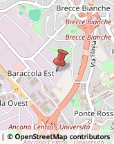 Piattaforme e Scale Aeree Ancona,60131Ancona