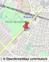 Consulenza Commerciale Pesaro,61122Pesaro e Urbino