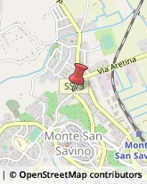 Agenzie Immobiliari Monte San Savino,52048Arezzo