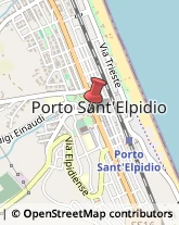 Piante e Fiori - Dettaglio Porto Sant'Elpidio,63821Fermo
