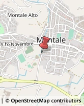 Scuole Pubbliche Montale,51037Pistoia