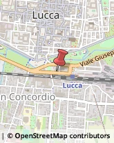 ,55100Lucca