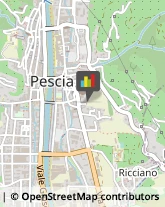 Demolizioni e Scavi Pescia,51017Pistoia