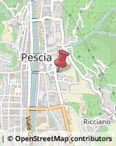 Demolizioni e Scavi Pescia,51017Pistoia