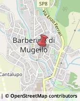 Gioiellerie e Oreficerie - Dettaglio Barberino di Mugello,50031Firenze