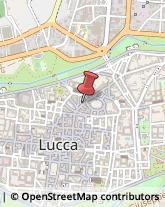 Pelliccerie Lucca,55100Lucca