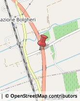 Aziende Agricole Bibbona,57020Livorno