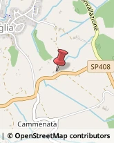 Uffici - Arredamento Cavriglia,52022Arezzo