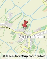 Aziende Agricole Orciano Pisano,56040Pisa