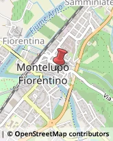 Associazioni di Volontariato e di Solidarietà Montelupo Fiorentino,50056Firenze