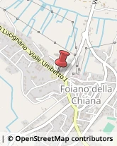 Impianti di Riscaldamento Foiano della Chiana,52045Arezzo