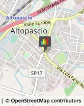 Notai Altopascio,55011Lucca