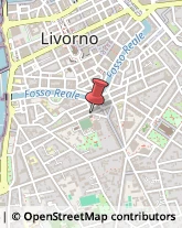 Scuole e Corsi di Lingua Livorno,57126Livorno