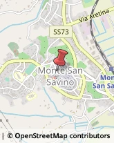 Pescherie Monte San Savino,52048Arezzo