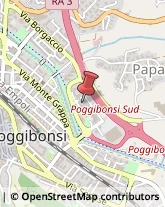 Associazioni Sindacali Poggibonsi,53036Siena