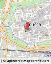 ,55100Lucca