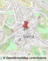 Piastrelle per Rivestimenti e Pavimenti Siena,53100Siena
