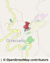 Ortofrutticoltura Ortezzano,63851Fermo