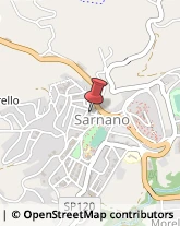 Profumerie Sarnano,62028Macerata