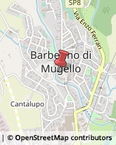 Riparazione e Rammendatura Abiti Barberino di Mugello,50031Firenze