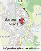 Prodotti Chimici Barberino di Mugello,50031Firenze