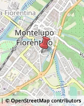 Associazioni Sindacali Montelupo Fiorentino,50056Firenze