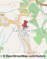 Consulenza di Direzione ed Organizzazione Aziendale Castellina in Chianti,53011Siena