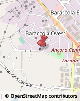 Trasformatori Elettrici Ancona,60020Ancona