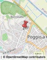 Profumerie Poggio a Caiano,59016Prato