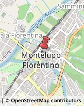 Animali Domestici - Centri Allevamento e Addestramento Montelupo Fiorentino,50056Firenze