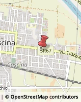 Trattamento e Depurazione delle acque - Impianti Cascina,56021Pisa