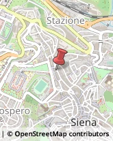 Notai Siena,53100Siena