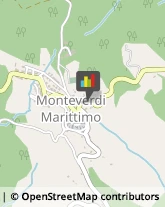 Tour Operator e Agenzia di Viaggi Monteverdi Marittimo,56040Pisa