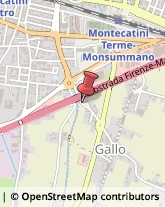 Agenti e Rappresentanti di Commercio,51016Pistoia