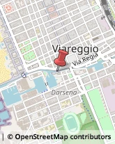 Magistrali - Scuole Private Viareggio,55049Lucca
