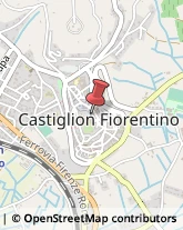 Fiere, Saloni e Mostre - Enti Organizzatori Castiglion Fiorentino,52043Arezzo