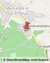 Manutenzione Stabili San Casciano in Val di Pesa,50020Firenze