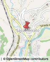 Vivai Piante e Fiori Sassoferrato,60041Ancona