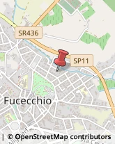 Autoveicoli Industriali Fucecchio,50054Firenze