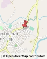 Piante e Fiori - Dettaglio San Lorenzo in Campo,61047Pesaro e Urbino