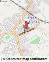 Consulenza Commerciale Torrita di Siena,53049Siena