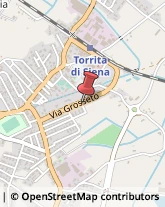 Fabbri Torrita di Siena,53049Siena