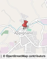 Lavanderie Appignano,62010Macerata