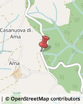 Falegnami Gaiole in Chianti,53013Siena