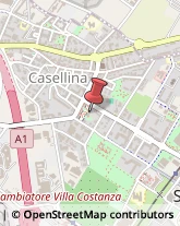 Palestre e Centri Fitness,50018Firenze