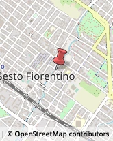 Elaborazione Dati - Servizio Conto Terzi Sesto Fiorentino,50019Firenze