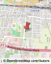 Trasporti Lucca,55100Lucca