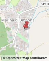 Porte Bibbona,57020Livorno